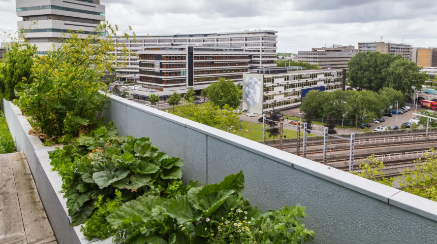 green roof system