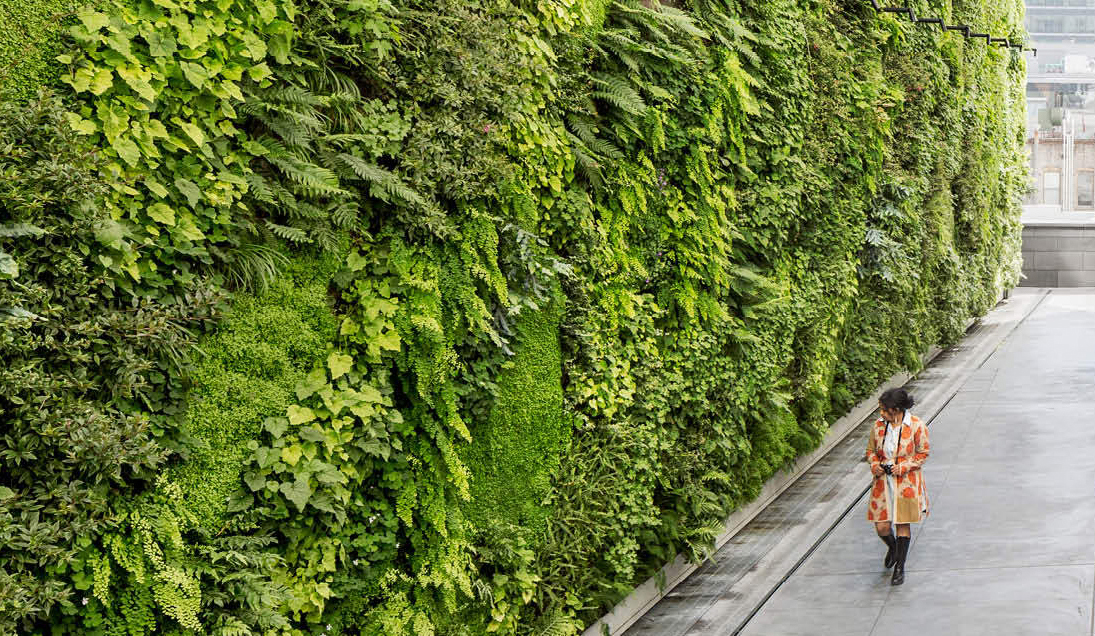 Transforming Spaces with a Vertical Green Wall System The Future of Sustainable Urban Design